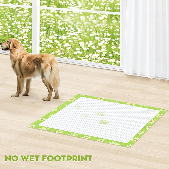 CROCI Dog Pads Extra Large 36x36in Daisy Pattern, Puppy Pads with Adhesive Tabs Super Absorbent Up to 11 Cups, Disposable (30 Counts)
