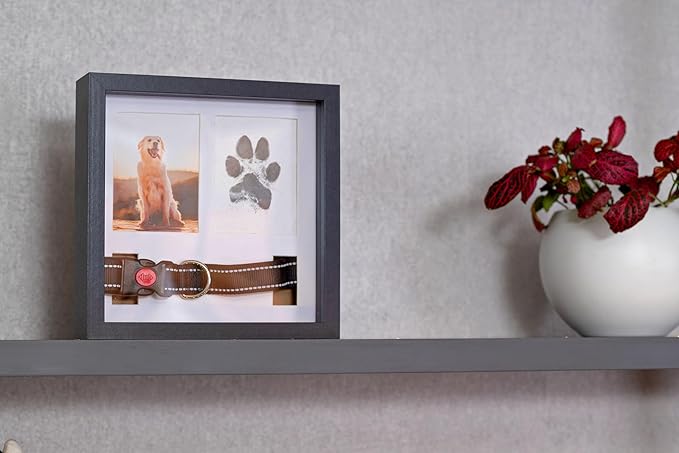 Dog Paw Print Kit for Dogs, Dog Picture Frame with Shatterproof Plexiglass, 4 Customizable Displays, 9”x9”, Pet Memorial Gifts for Dogs, Loss of Pet Sympathy Gift, Pet Paw Print Impression Kit (Black)