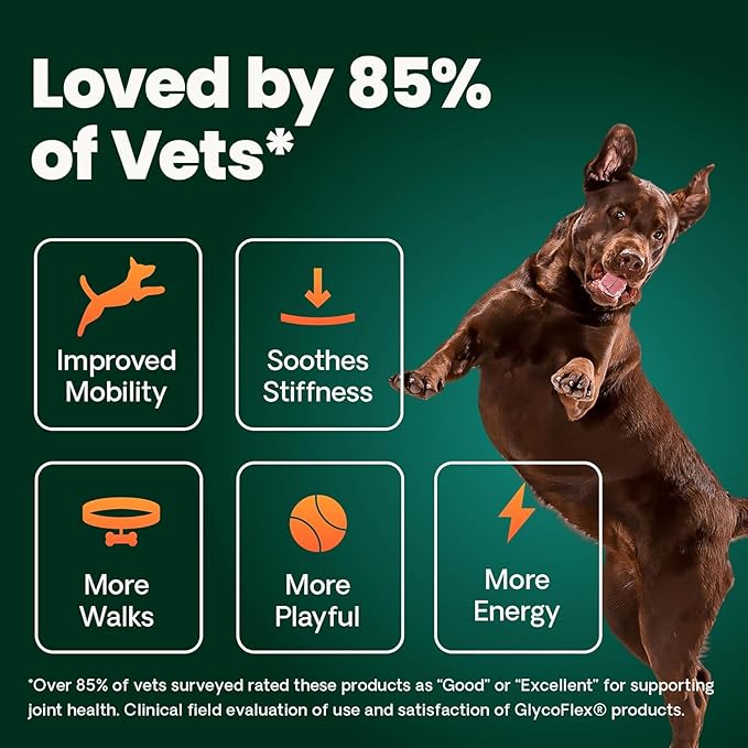 VetriScience Extra Strength Healthy Hip & Joint Chews, GlycoFlex Glucosamine and Green-Lipped Mussel Joint Support Supplement for Dogs, Promote Mobility & Soothe Joint Discomfort, Chicken, 60 Count