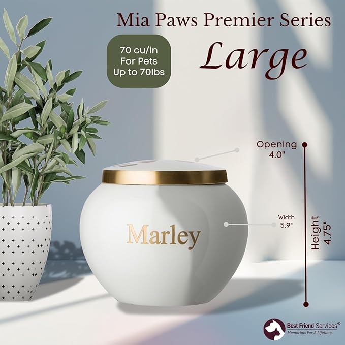 Mia Paws Premier Series Pet Urn for Dogs with Personalized Laser Engraving (Large - Pets up to 65 lbs, Cloud White, Double Brass Paws)