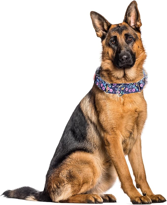 Martingale Collar for Large Dogs, Heavy Duty Training Collars with Bull Flower Design, Adjustable No Slip Collar with Safety Buckle for Girl or Boy, Perfect for Training, Walking, Hunting (L)