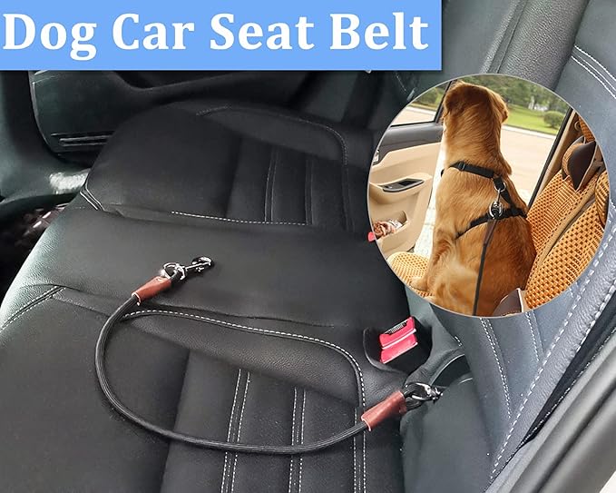 MayPaw Training Tie Down- Short Dog Tether Indoor- Strong Rope Dog Car Leash Seat Belt- 5 Sizes Vehicle Safety Restraint Lead for Small Medium Large Dogs (40 Inch)