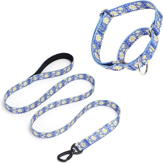 Martingale Collar for Medium Dogs, Girl Dog Collar with Daisy Flowers, Heavy Duty No Pull Dog Collar Floral Design Dog Training Collar, Perfect for Training, Walking, Hunting (Dark Blue + Leash, L)