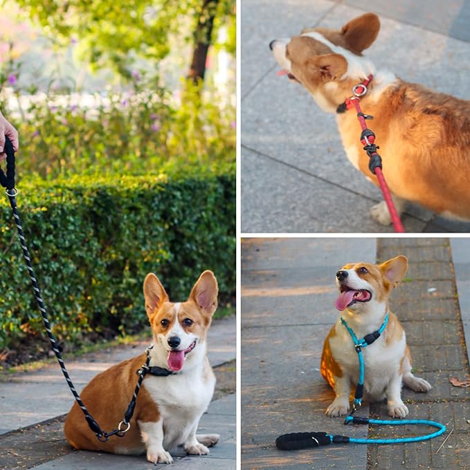 Nylon Dog Training Collar with Slidable Stopper - No Pull, Martingale Collar for Small to Large Dogs, Orange