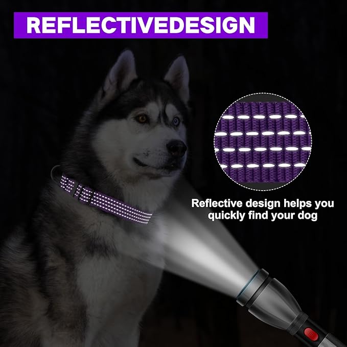 Martingale Dog Collars, Adjustable Reflective Nylon Dog Collar for Training Dogs, No Pull Dog Choker Collar for Medium Large Dogs (L, Purple)