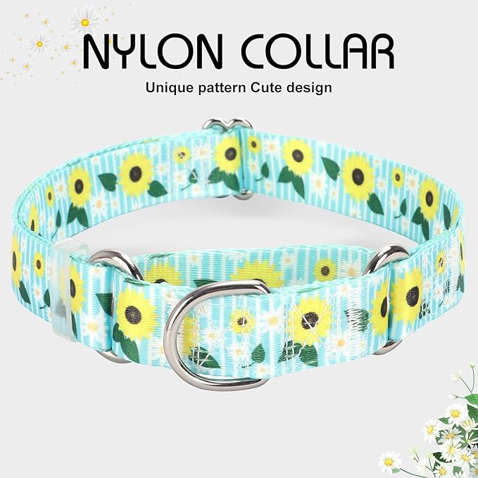 Martingale Dog Collar for Small Dogs，No-Slip Escape Proof Choke No Pull Sunflower Dog Collar for Male and Female Dogs for Walking Running Training -S