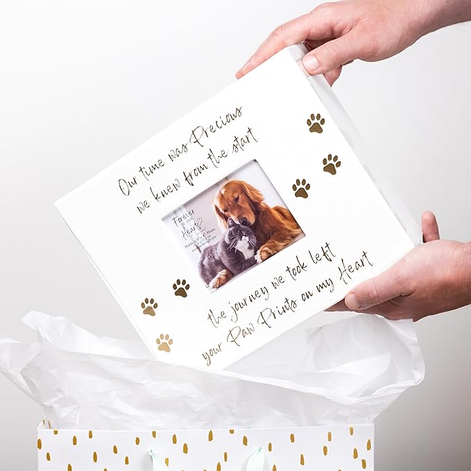 Pavilion Gift Company - Paw Prints On My Heart - Memory Box With 5" x 4" Photo Holder Loss Of Pet Cat Dog Bereavement In Memory