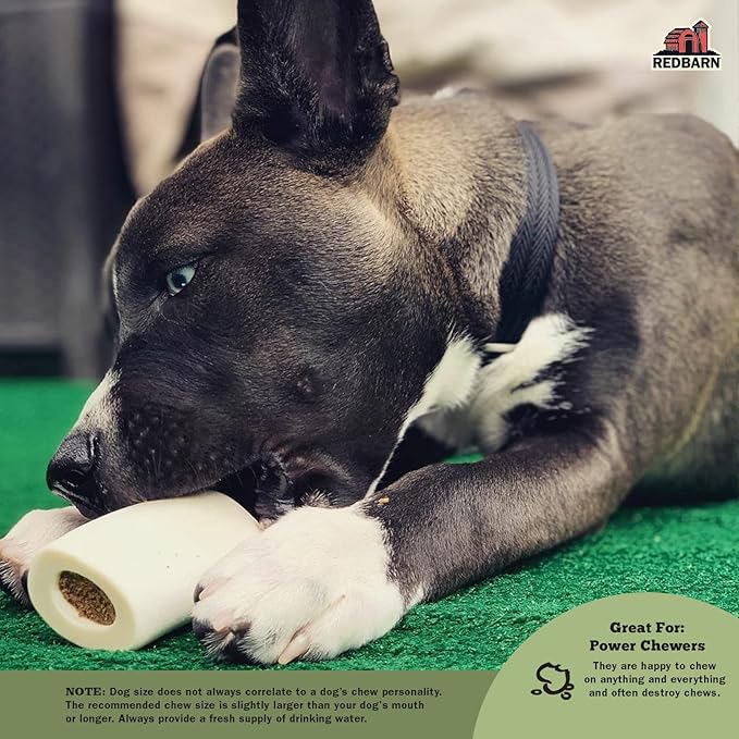 Redbarn Pet Products Large Filled Dog Bones, Cheese & Bacon Flavor - Long Lasting Stuffed Femur Chew Treat Made in USA - 4 Count - Packaging May Vary