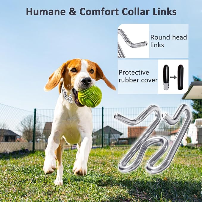 Dog Collar with Buckle Adjustable Dogs Collars for Small Medium Large Dog