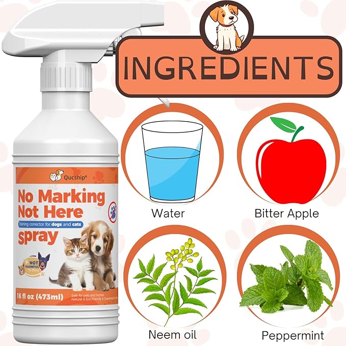 Qucship 16 Fl Oz Trains Your Pet Where Not to Pee Indoors or Outdoors - No Pee Spray for Dogs Indoor - Pee Repellent for Dogs Outdoor