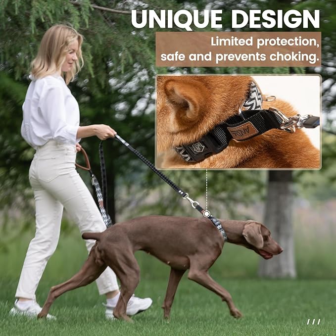 ANDA Martingale Collar for Dogs, Double-Layered Composite Material with Buckle,No-Pull Training Collar for Easy Control with no Choking (Chevron Black, Medium)