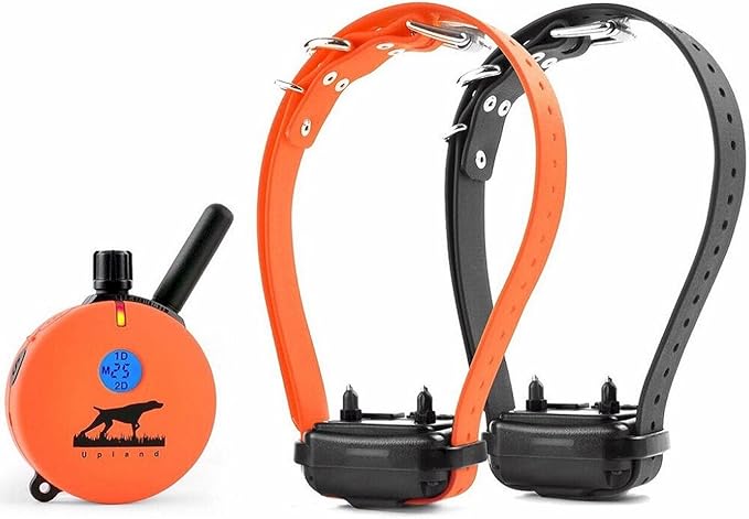 Educator E-Collar The Upland Dog Training Collar w/Remote - 100 Levels of Safe Stimulation, Night Light, Waterproof, Rechargeable, Includes Premium Finger Clicker for 1 Mile 2 Med/Large Dogs, Orange
