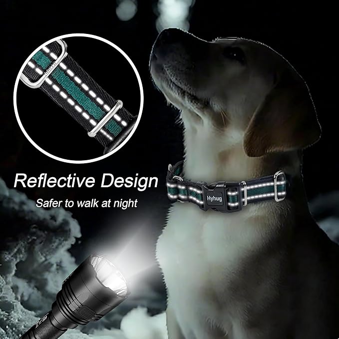 Hyhug Reflective Martingale Dog Collar with Buckle: Escape-Proof, No Slip Heavy Duty Nylon, Colorfast Adjustable Pet Supplies for Small Breeds (Reflective Green, Small)