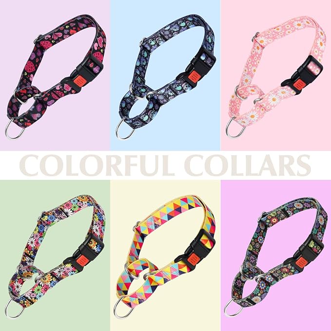 Martingale Collar for Dogs, Colorful Triangle Design Dog Collar for Small Medium Large Dogs, Adjustable Heavy Duty Dog Collars for Training, Walking, Hunting (L)