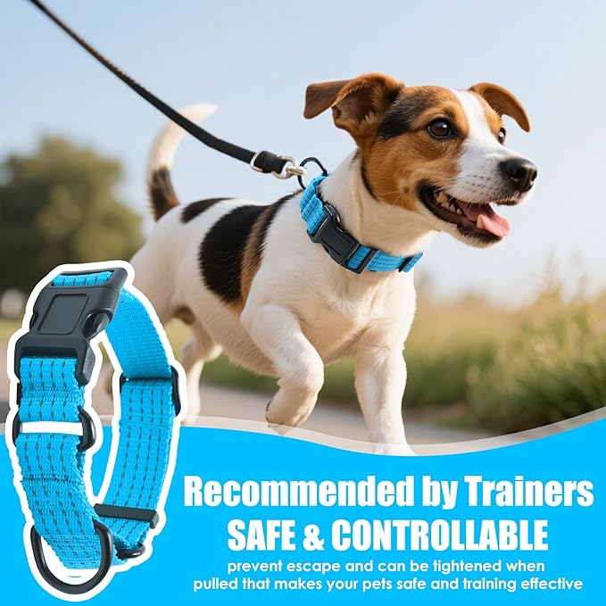 Martingale Collar for Dogs, Reflective Heavy Duty with Quick Release Nylon Buckle, No Pull Training Choker for Walking, Training, Sky Blue,S