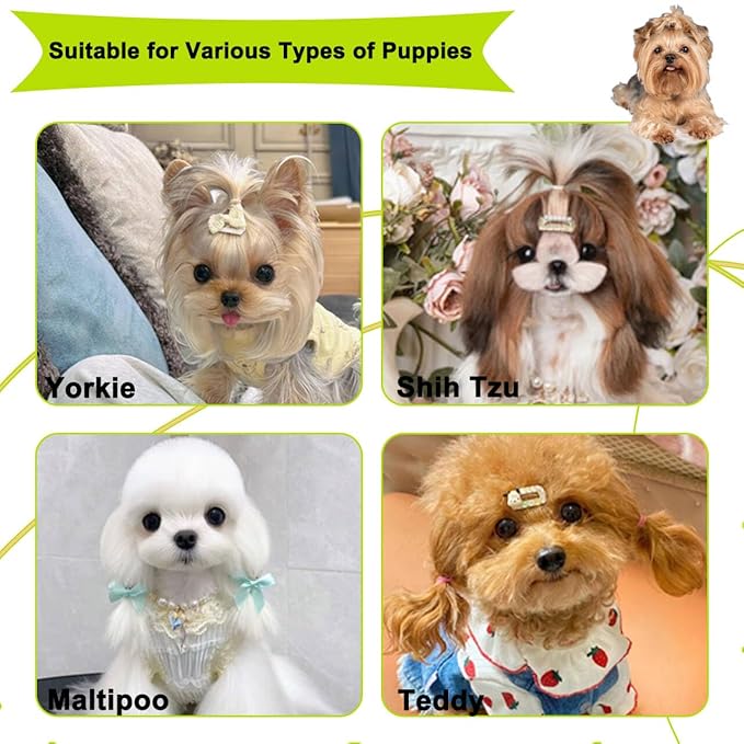 Cloud-Shaped Soft Bristle Puppy Brush for Small Dogs - Yorkie, Shih Tzu, Maltese, and Toy Poodles Grooming Tool with Detachable Lint Comb and Gift Box （Green）