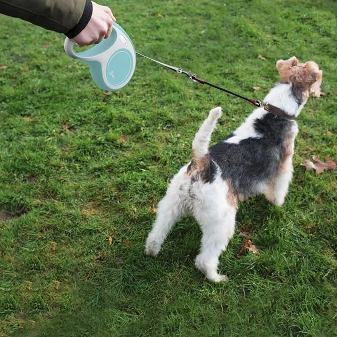 No Handle Dog Leash 3/6 FT, Dog Tether Training Lead Tie Down, Extension Rope for Exercising, Car, Bicycle, Outdoor, Running, Walking (6FT X 1/2inch)