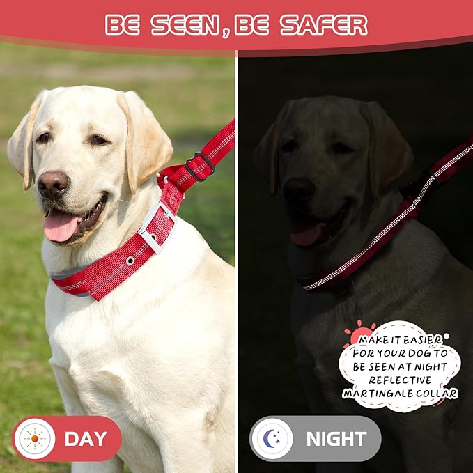 Reflective Martingale Collar for Dogs - Hidden Anti Pull Adjustable Training Collar Heavy Duty Buckle, Suitable for Small Medium Large Dogs on Walking & Hunting,Red,M