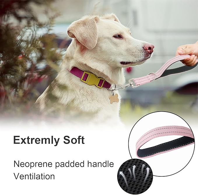 Standard Training Leashes 12 Inches for Dogs, Short Traffic Dog Leash Heavy Duty Padded Handle, Nylon Anti Pull for Reflective, Short Line Dog for Small, Medium and Large Dogs 1 FT Pink