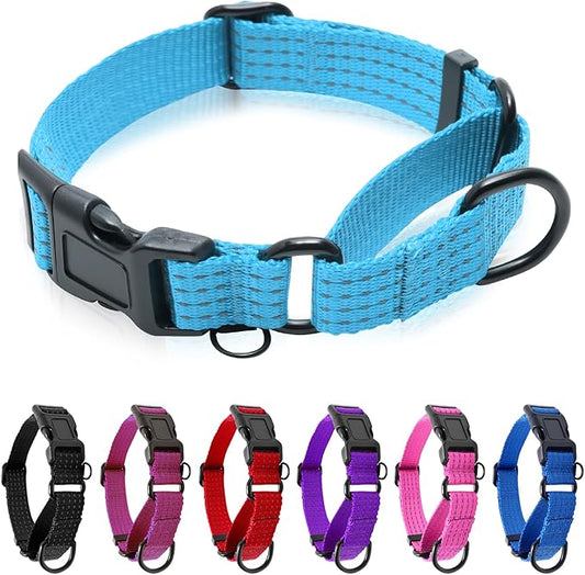 Martingale Collar for Dogs, Reflective Heavy Duty with Quick Release Nylon Buckle, No Pull Training Choker for Walking, Training, Sky Blue,S