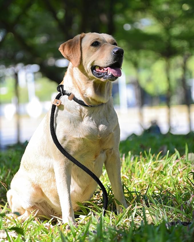 lynxking Dog Leash Slip Lead 5 6 8 FT Dog Training Leash Strong Heavy Duty Braided No Pull Training Lead for Small Medium Large Dogs