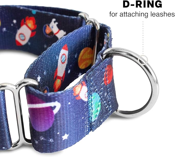 Downtown Pet Supply Big and Wide Durable Martingale Training Collars for Dogs and Puppy in Small,Medium,Large,and Extra Large Dog Collar (Space),X-Large: 18.5 inch-34