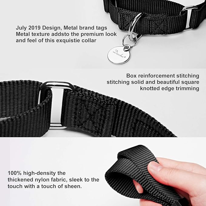 Martingale Dog Collar, No-Buckle Escape-Proof Design, Heavy-Duty Nylon and Welded D-Ring, Adjustable Training Collar for Medium Large Dogs (Classic Black, L)