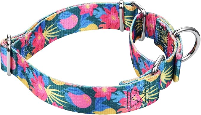 Mikivery Martingale Collar 1 inch Slip On and Off,NO Buckle Gently Tightens Medium and Large Collars