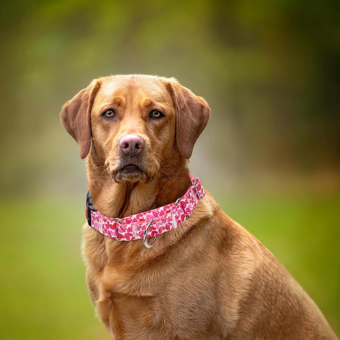 Martingale Collar for Dogs, Pink Heart Dog Collar for Small Medium Large Dogs, Girl Dog Collars with Quick-Release Buckle for Training, Walking, Hunting (L)