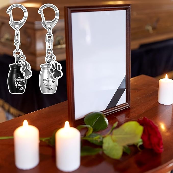 2 Pcs Pet Urns Keychain for Dogs Cats Small Urns for Ashes Keepsake Jewelry Paw Print Memorial Urn Dog Paw Charm Ashes Holder with 2 Storage Bags for Cats Cylinder Cremation Pet Cinder Black Silver