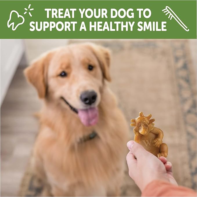 WHIMZEES Wellness Hedgehog Dog Dental Treats, Large Size, (6 Count)