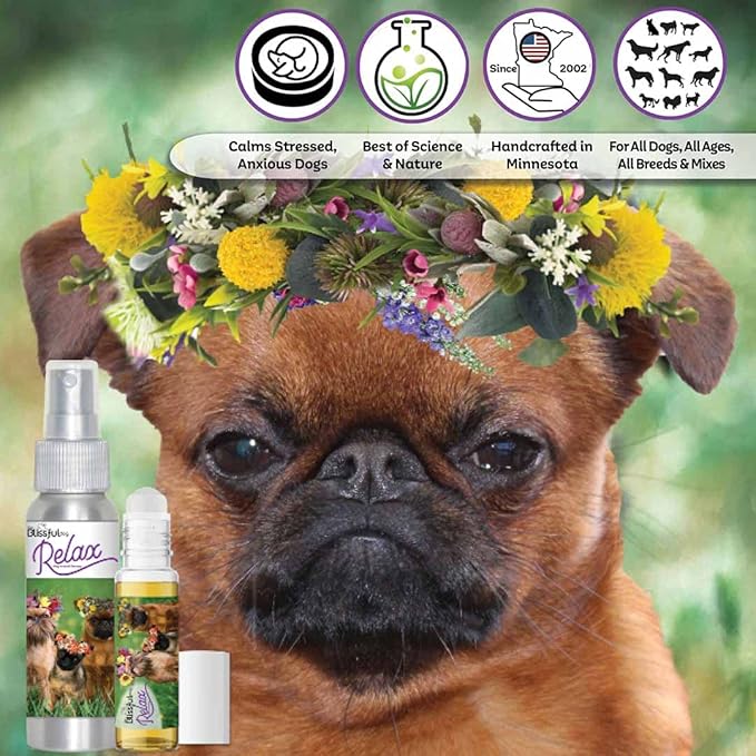 The Blissful Dog Brussels Griffon Dog Relax Roll-ON Aromatherapy for Dogs - Anxiety Relief for Dogs