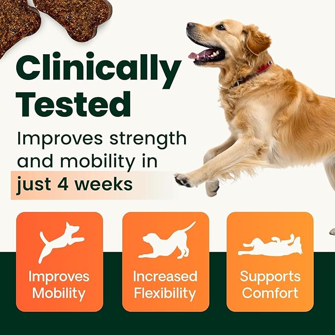 VetriScience Extra Strength Healthy Hip & Joint Chews, GlycoFlex Glucosamine & Green-Lipped Mussel Support Supplement for Dogs, Promote Mobility & Soothe Joint Discomfort, Chicken, 3 Pack