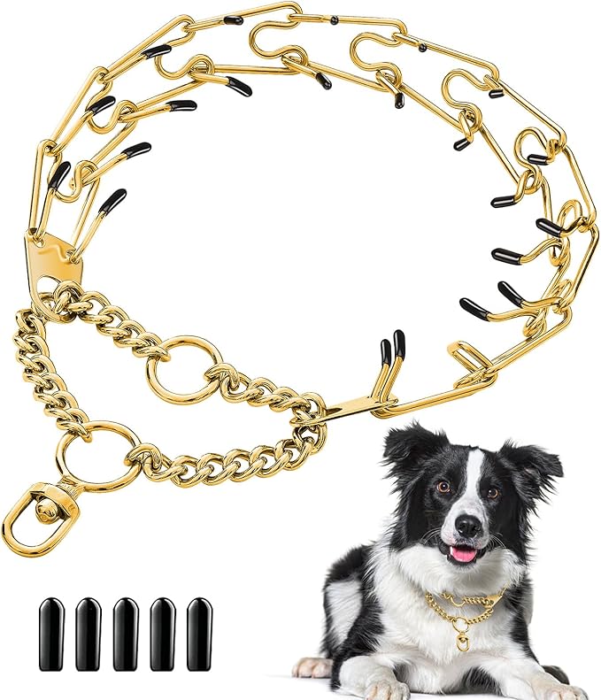 Stainless Steel Dog Pinch Collar - Gold Prong Martingale Collar, Adjustable Size for Medium & Large Dogs (XL, Gold)