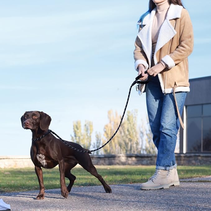 Slip Leads Dog Leash - 4/5/6/8/10 FT Heavy Duty Training Leashes - Reflective & Comfortable Handle for Small Medium Large Dogs (1/2''-6FT, Grey)