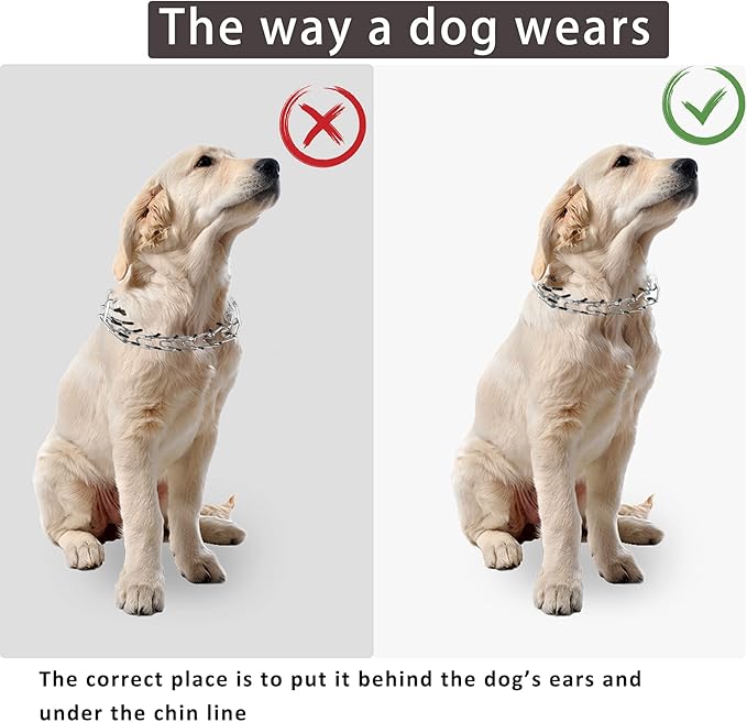 Dog Prong Collar,Choke Collar for Dogs Pinch Training Collar,Detachable Adjustable Choke Collar with Comfort Rubber Tips, Metal Adjustable Large Middle Dog Pet Pinch Collar