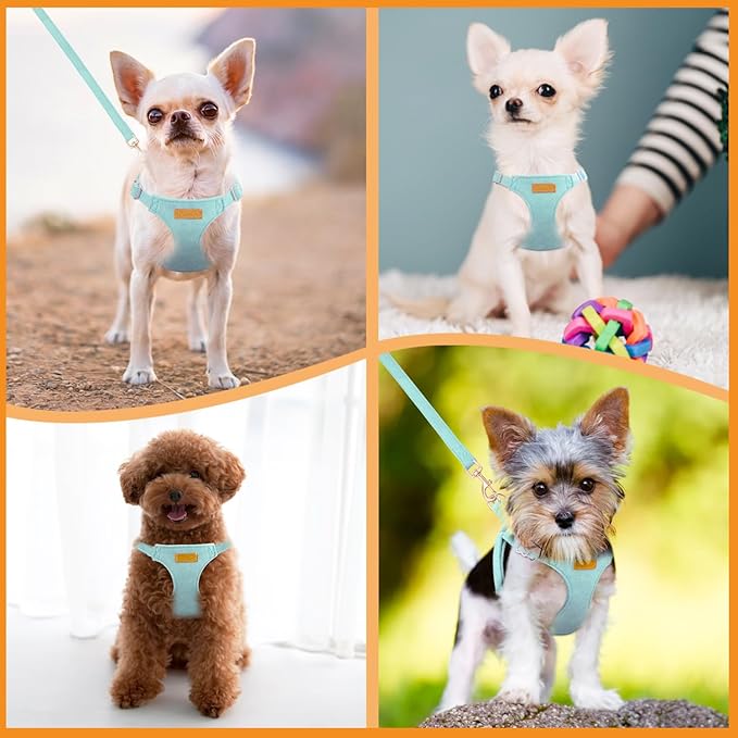 SlowTon Dog Harness Small Sized Dog - Soft XXS Dog Harness and Leash Set No Pull No Chock, Adjustable Lightweight Puppy Harness for XS Small Medium Dogs Cats (Solid Light Blue, M)