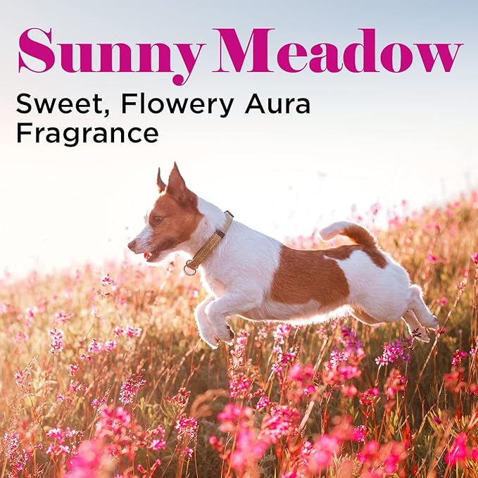 Sunnymeadow Cologne - 8 oz