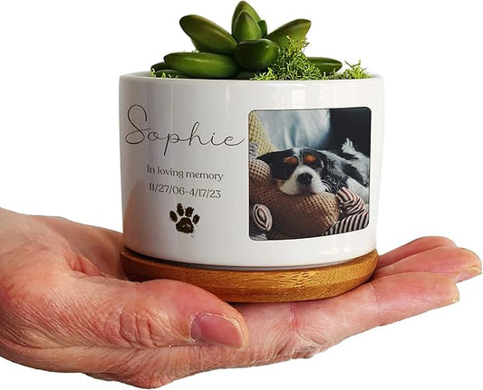Personalized Dog Memorial Plant Pots for Grieving Pet Owners Personalized Plant Pots Pet Loss Gifts Cat Memorial Gifts Loss of Sympathy Garden or Yard