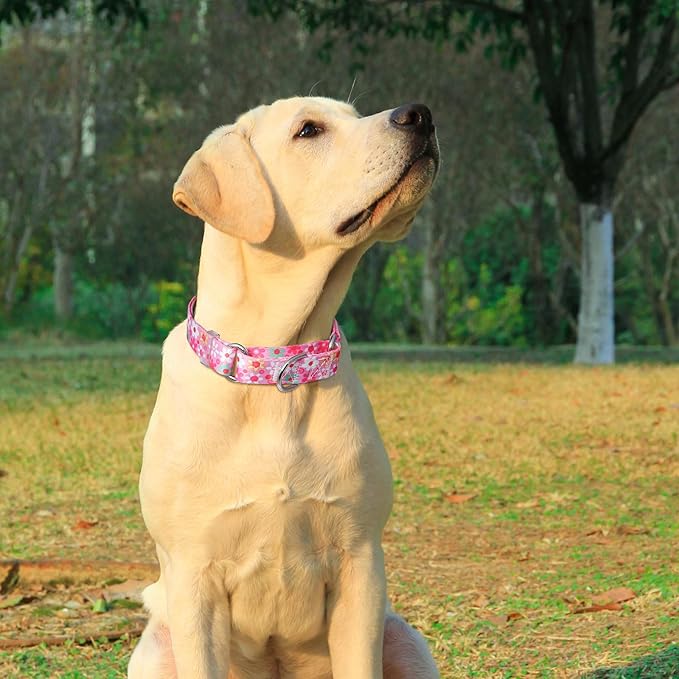 Martingale Collar for Dogs, Pink Flowers Martingale Collar with Adjustable No-Slip Escape Proof Choke No Pull for Small Medium Large Girl Female Dogs Collar L