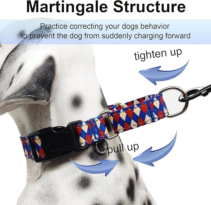 Reflective Martingale Dog Collar with Buckle Soft Nylon Geometric Patterns Pet Collars for Large Dogs (Argyle, L)