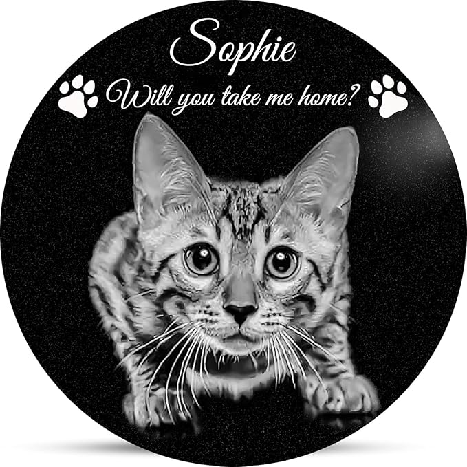 ADFSTONE Pet Memorial Stones Personalized Dog Remembrance Gifts, Customized Cat Picture Grieving Plaque, DIY Gravestone, Custom Sympathy Photo Gift, Animal Grave Markers