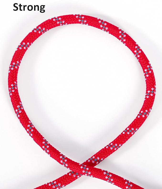 Long Dog Leash for Dog Training 20FT, Heavy Duty Dog Lead for Large Medium Small Dogs Outside Walking, Playing, Camping, or Yard,Red