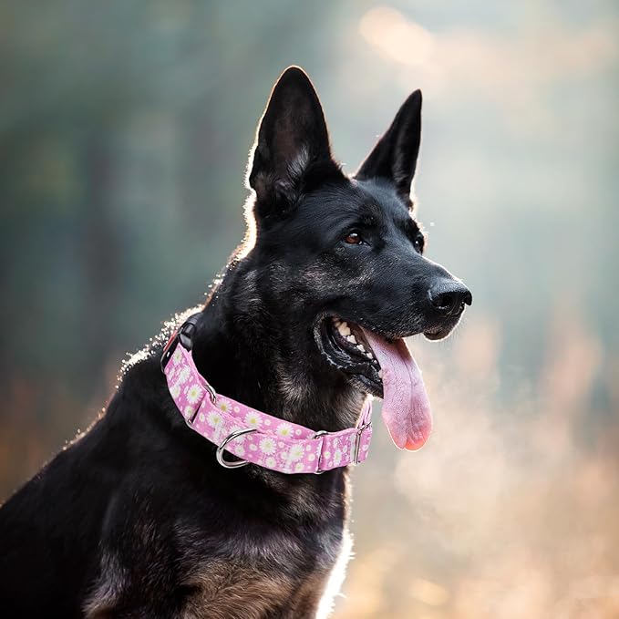 Martingale Collar for Dogs, Pink Daisy Flowers Martingale Dog Collar Adjustable Premium Collar with Quick-Release Buckle, Perfect Girl Collar for Training, Walking, Hunting (S)