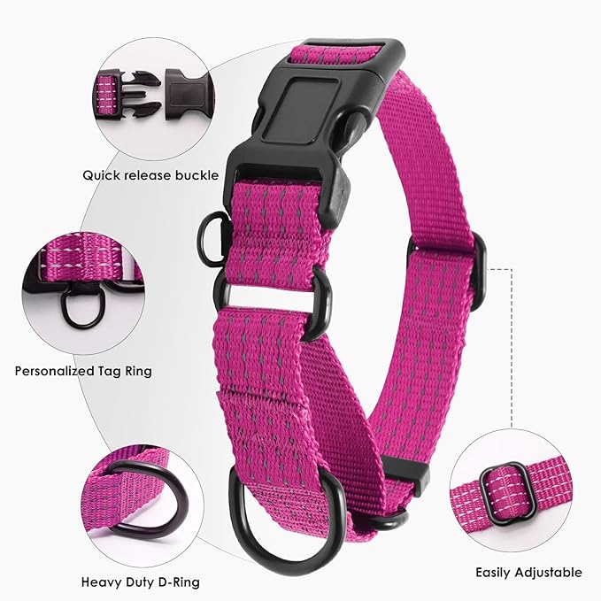 Martingale Collar for Dogs, Reflective Heavy Duty with Quick Release Nylon Buckle, No Pull Training Choker for Walking, Training, Hot Pink,S