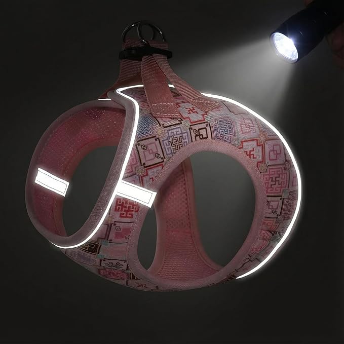 Step in Dog Harness and Leash Set, Reflective Adjustable No Pull Dog Harness for Extra-Small/Small Dogs Puppy and Cats, Soft Padded Mesh Vest Harnesses for Girl and Boy Pets(Pink Grid,XXS)