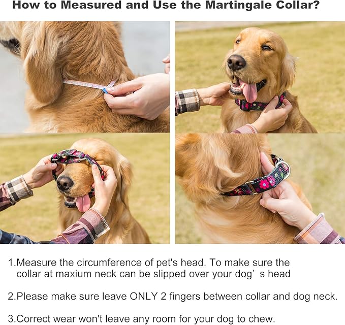 Martingale Collar Dog Collar No Pull Pet Collar Heavy Duty Dog Martingale Collars Silky Soft with Unique Pattern for Small Dog (Small Medium, Black and Sun Flower)