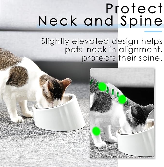 SuperDesign Mess Free 15° Slanted Bowl for Dogs and Cats, Tilted Angle Bulldog Bowl Dog Feeder, Non-Skid & Non-Spill, Easier to Reach Food M/1 Cup White