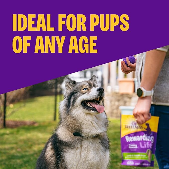 Wellness Rewarding Life Soft Dog Training Treats, Natural, Grain Free, Chicken and Lamb Recipe, 6 oz Bag