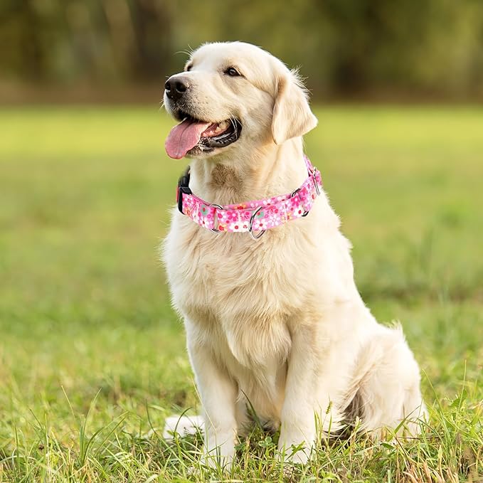 Pink Martingale Collar for Large Dogs with Safety Buckle, Adjustable Girl Dog Collars with Flowers Design, Heavy Duty No Slip Collar Great for Whippets, Greyhounds and More (L)